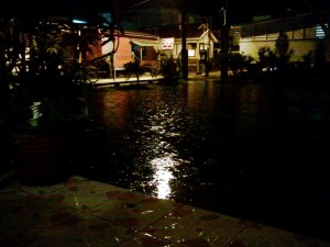 Looks like we have waterfront property! Nope... just a flooded yard.